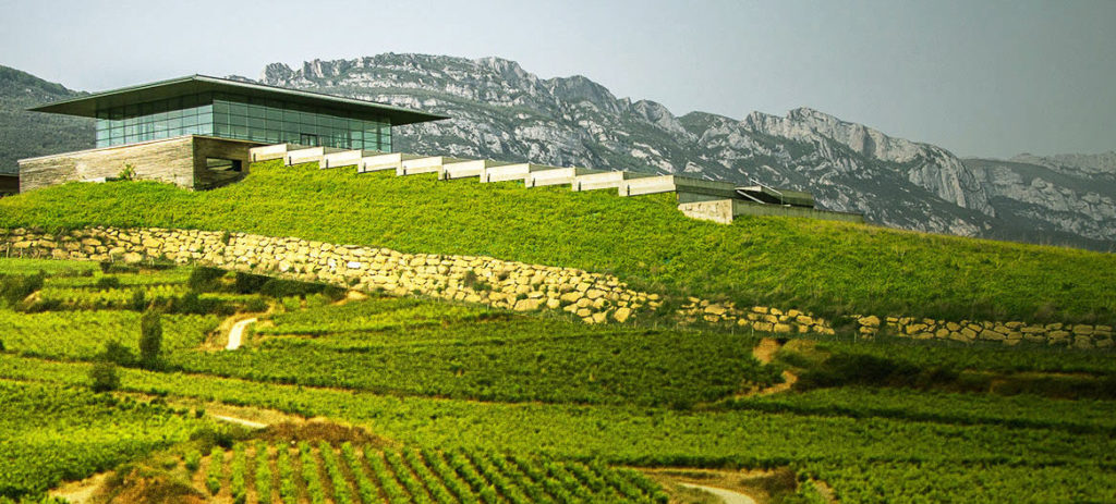 Rioja - Spain Travel Guide