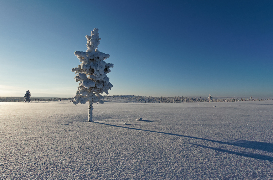 travel to Lapland
