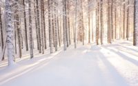 Reasons to travel to Lapland
