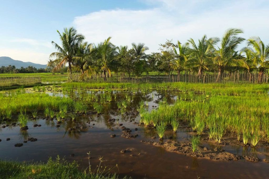 Kampot