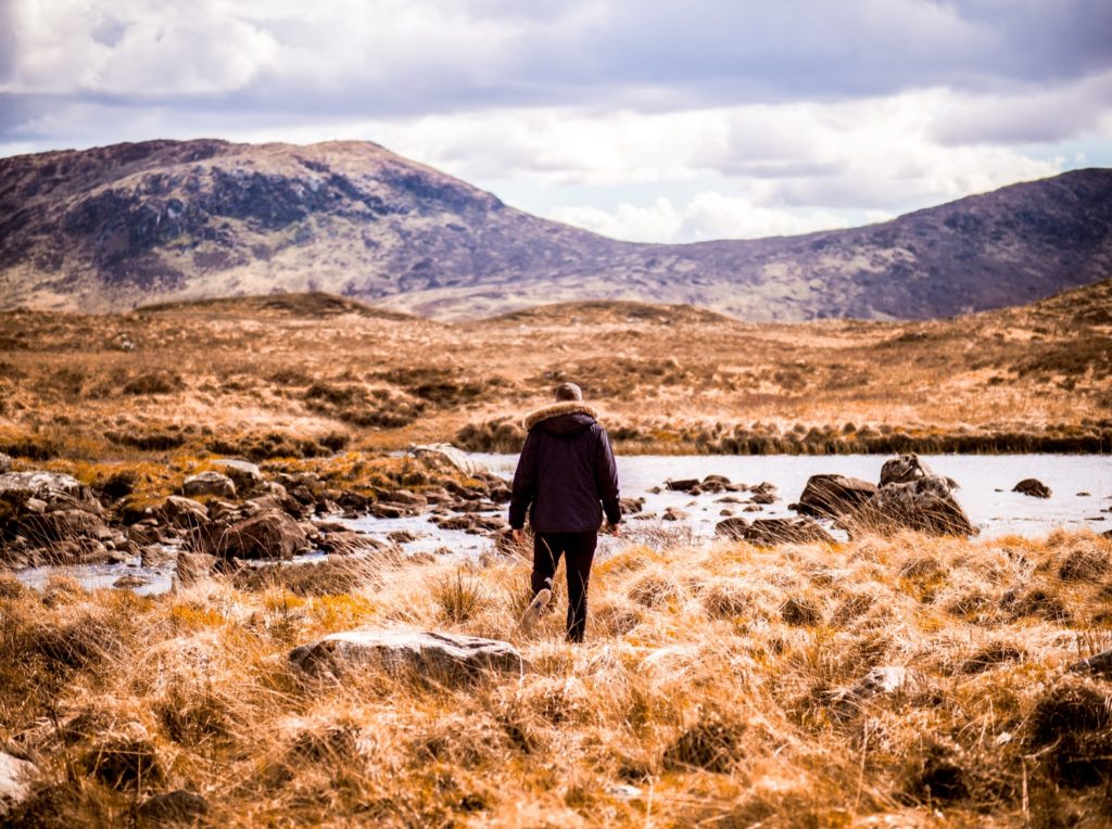 Scotland in books