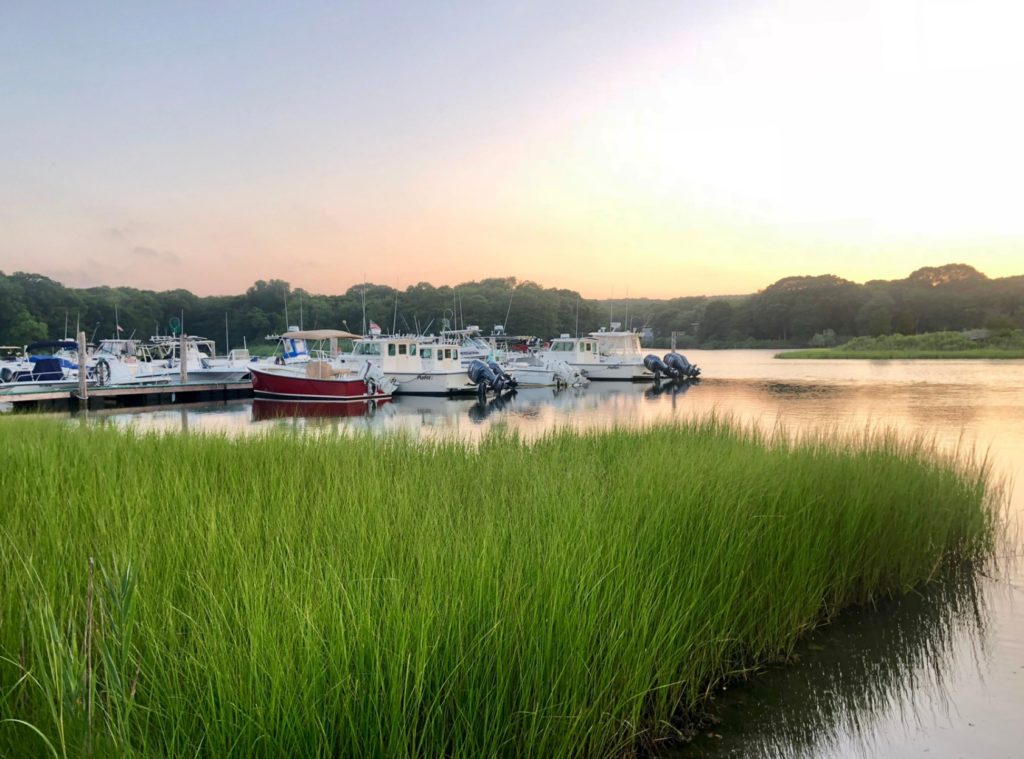 Long Island NY in Books