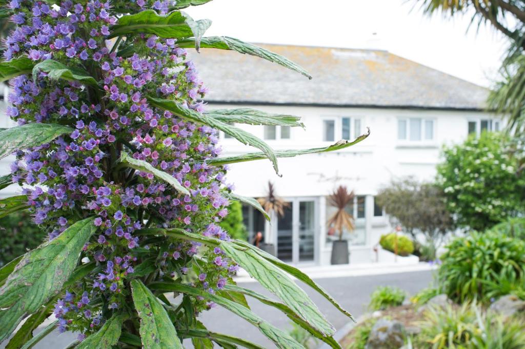 Boskerris Hotel, St Ives