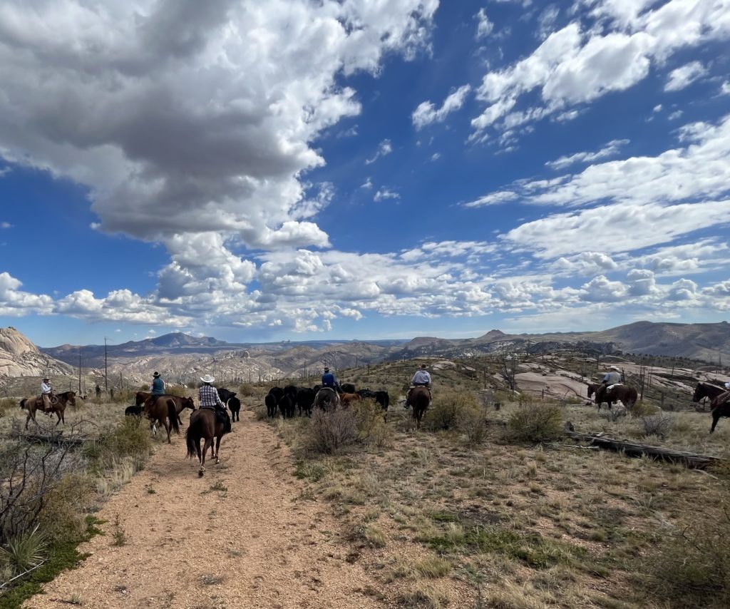 Lost Valley Ranch - Sedalia, Colorado: