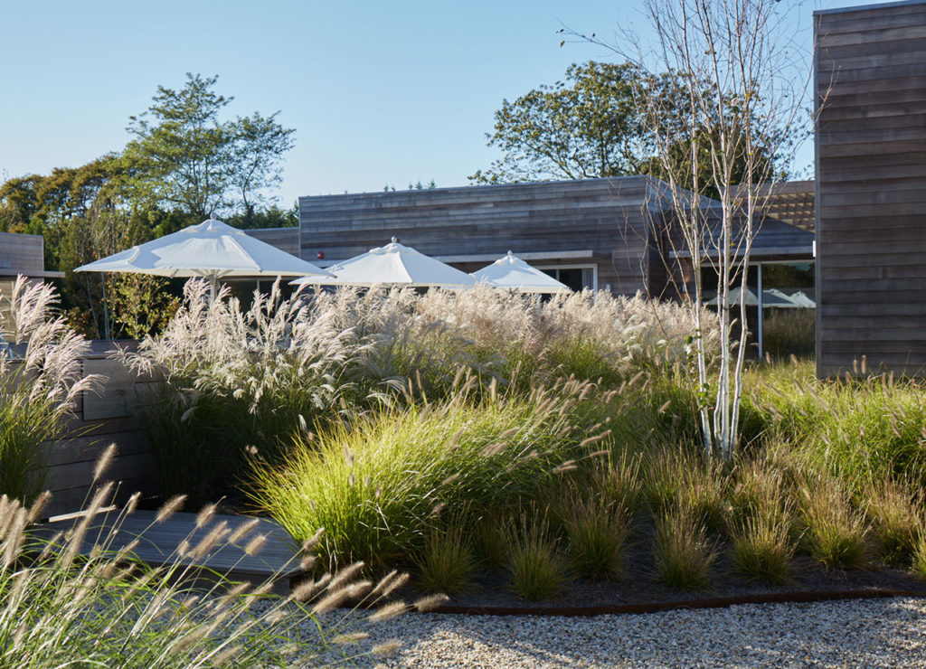 Shou Sugi Ban House, Long Island