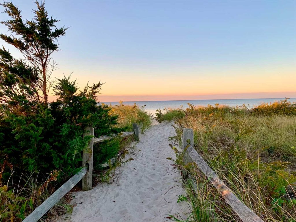 Cape Cod in books