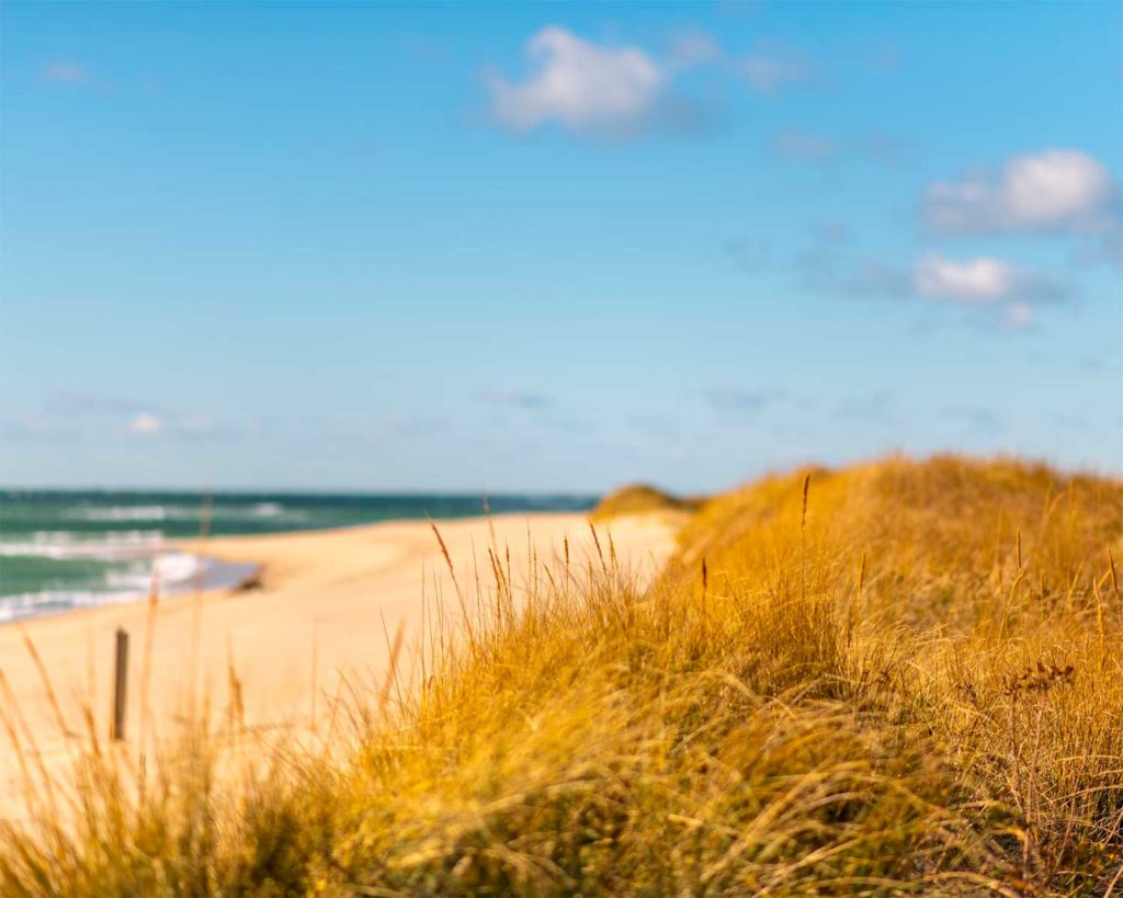 Cape Cod in books
